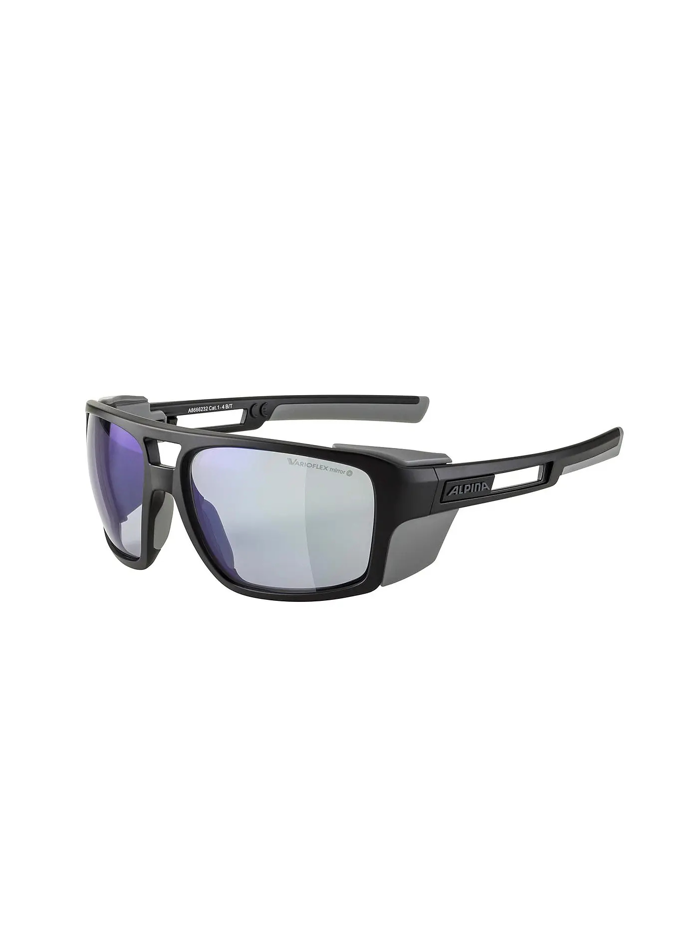 ALPINA | Herren Bergbrille Skywalsh | 